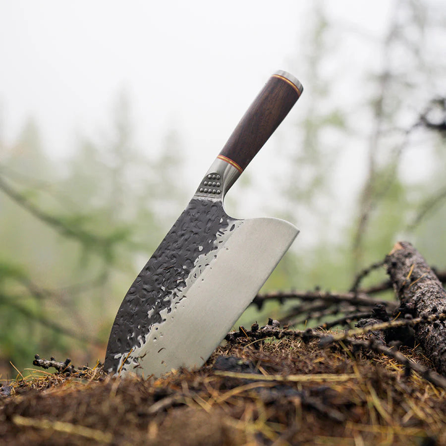 Valhalla Series - Essential Bundle