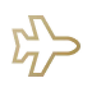 Gold minimalist airplane icon representing fast worldwide shipping and express delivery services.