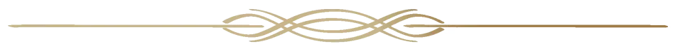 Elegant gold horizontal scroll divider for separating website sections with a luxury minimalist design.